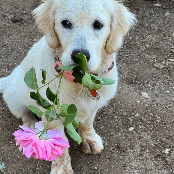 Meet your Posher, Kimberly - Picture 8 of 16